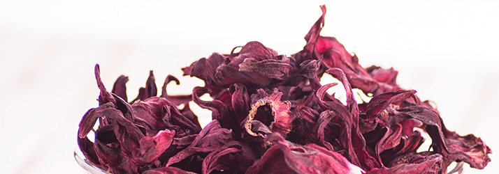 The Power of Hibiscus Sabdariffa: A Natural Remedy for Hypertension